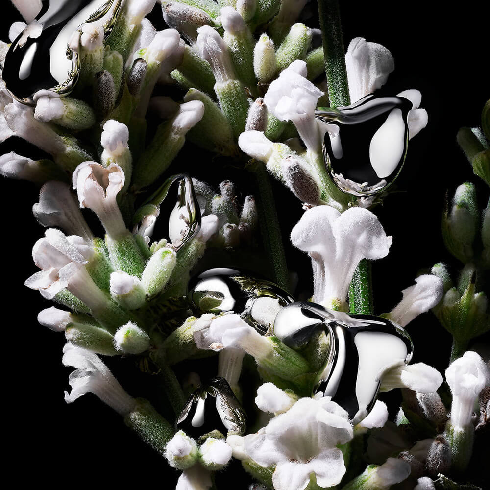 FRAGANCIA DE YVES SAINT LAURENT LIBRE L'ABSOLU PLATINE